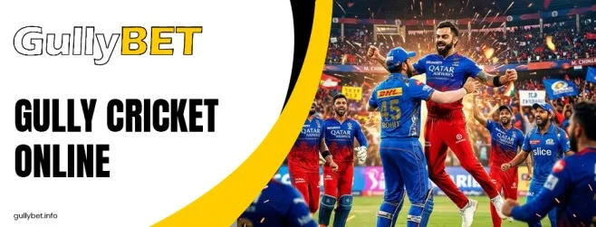 Gully cricket online